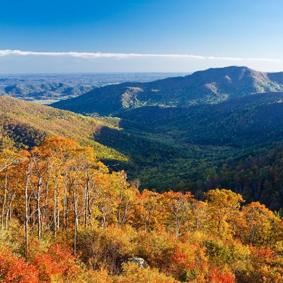 Bensley Virginia