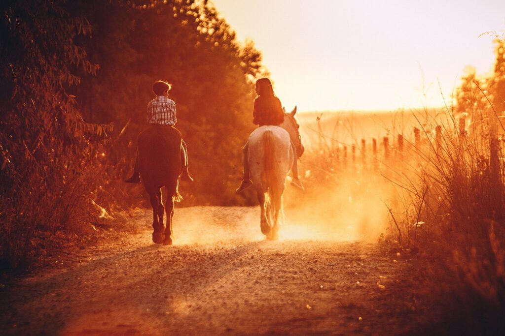 How-to-Choose-the-Right-Type-of-Horse-Fencing-Everything-You-Need-to-Know