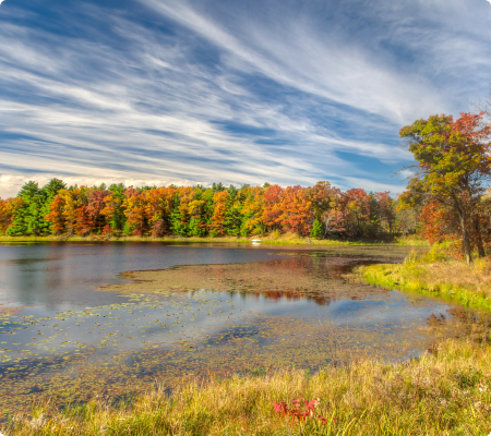 Midlothian Virginia