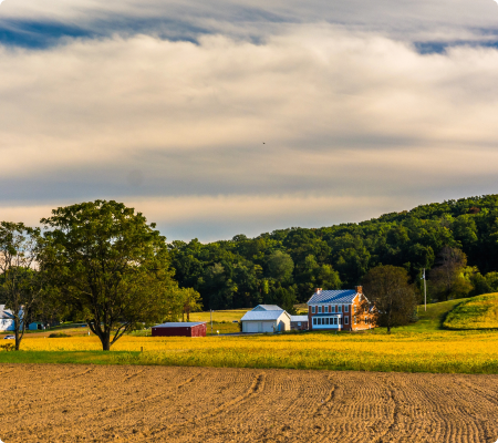 Williamson Farms Virginia