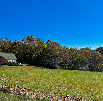 Bumpass Virginia