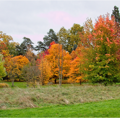 East Highland Park