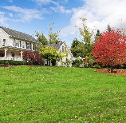img-Annandale