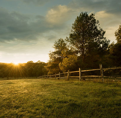 Spring Field